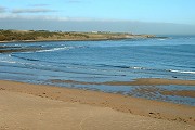 Sugar Sands
