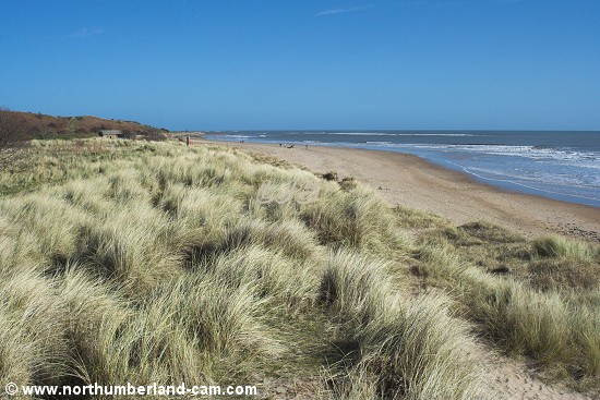 View north along Alnmouth Beach from the River Aln.