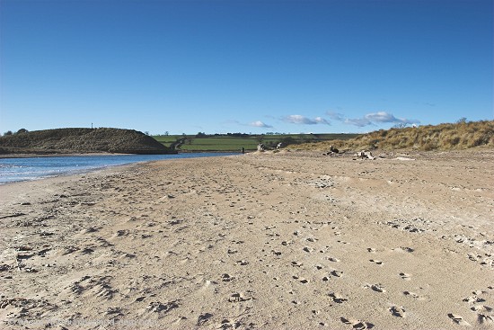 The beach on the north side of the River Aln.
