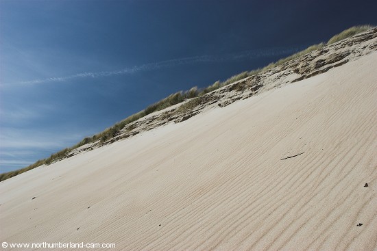 Very steep sand dunes at the north end of Beadnell Bay.