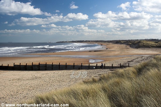 Blyth South Beach seen from the dunes on a sunny day in March.