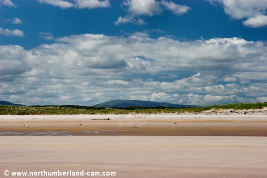 View of The Cheviot from the beach.