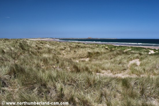 The view north to Holy Island from the path that leads through the dunes to the beach.