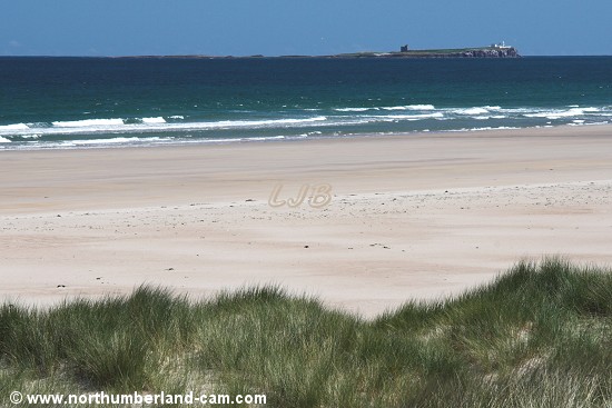 Inner Farne seen from the dunes at Ross Back Sands