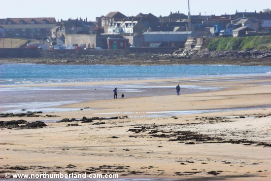 View along the beach at St. Aidan's Dunes to Seahouses village and harbour.